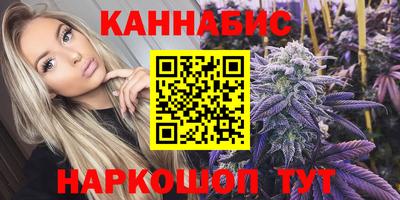 шишки Будённовск