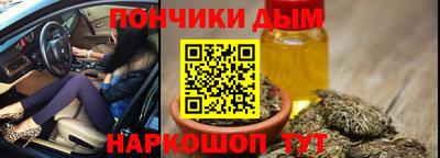 шишки Будённовск