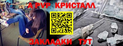 шишки Будённовск